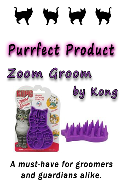Featured Product: Zoom Groom by Kong