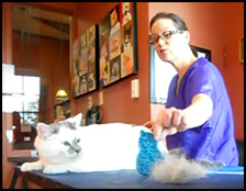 Aunt Stacey's Zoom Groom video